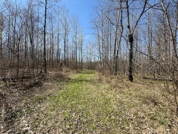 W9793 Dankes Road, Phillips, WI 54843