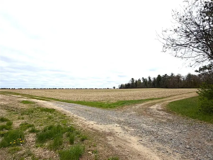 74 acres Sand Prairie Rd., Hixton, WI 54635 - #2