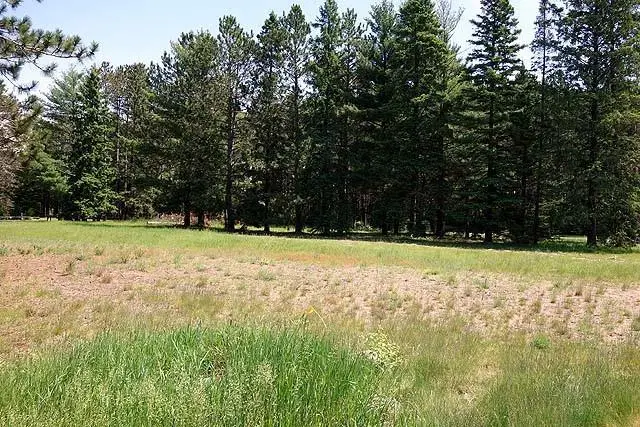Lot 1 Highway B, Hayward, WI 54843 - #1
