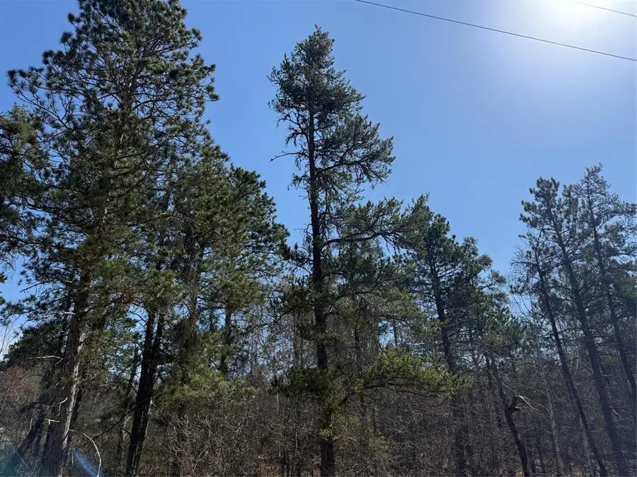 Lot 51 Aspen Lane, Barnes, WI 54873 - #3