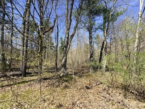 0 County Road B, Hayward, WI 54843
