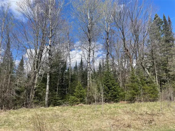 81620 Pociask Road, Butternut, WI 54514