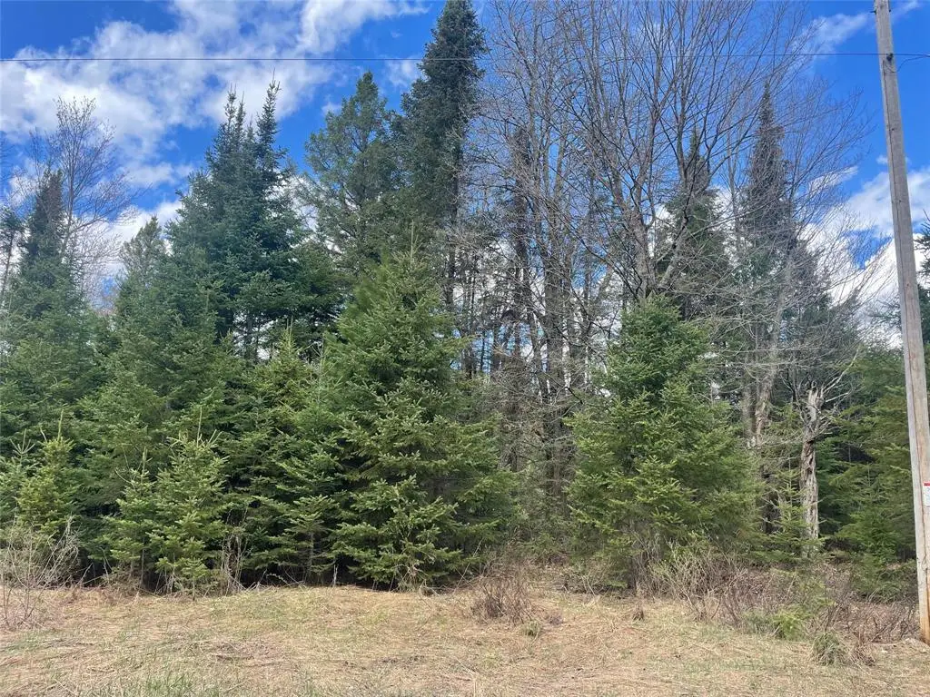 40 +/- Acres On Pociask Road, Butternut, WI 54514 - #1