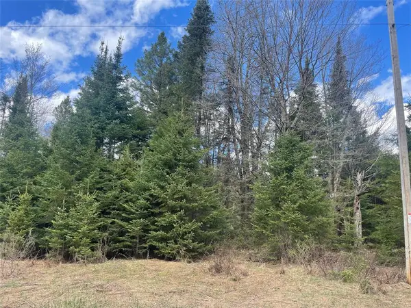 40 +/- Acres On Pociask Road, Butternut, WI 54514