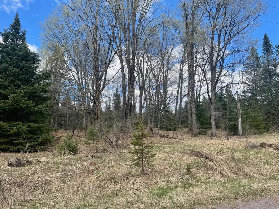 40 +/- Acres On Pociask Road, Butternut, WI 54514 - #2