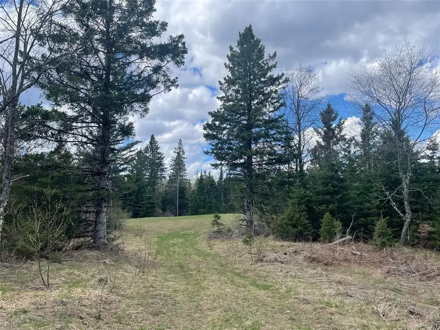 40+/- Acres On Pociask Road, Butternut, WI 54514 - #3