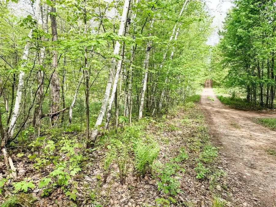 Lot 2 Peterson Rd, Wascott, WI 54859 - #2