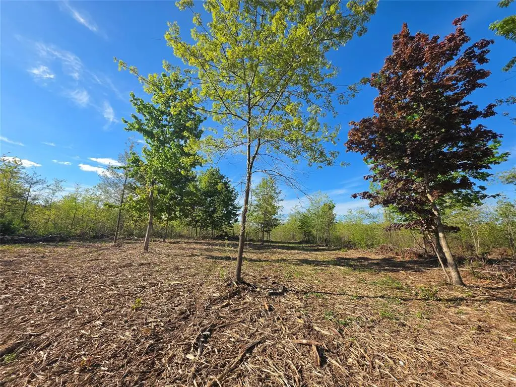 0 370 Avenue Lot 7 and Lot 8, Elk Mound, WI 54739 - #1