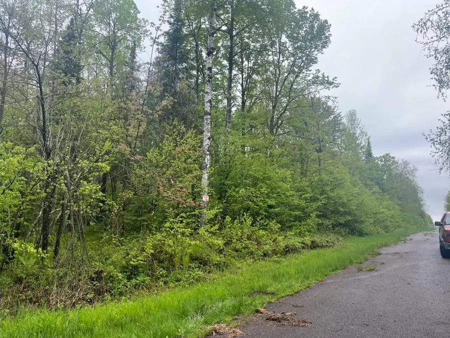 Lot 2 Delap Lane, Couderay, WI 54828 - #2
