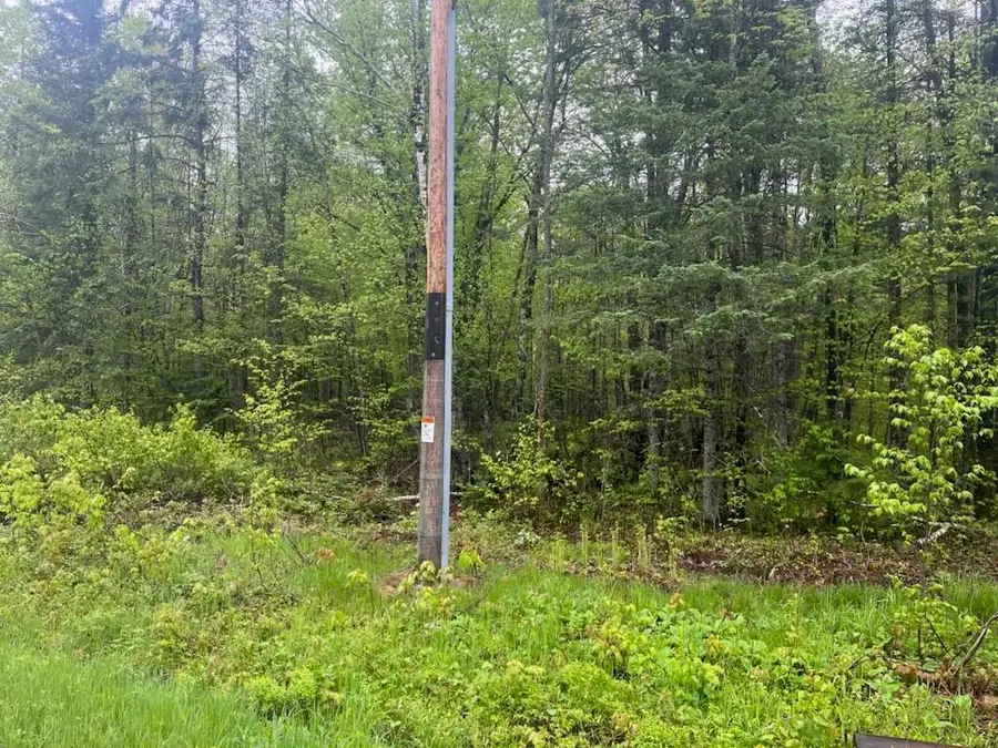 Lot 2 Delap Lane, Couderay, WI 54828 - #3