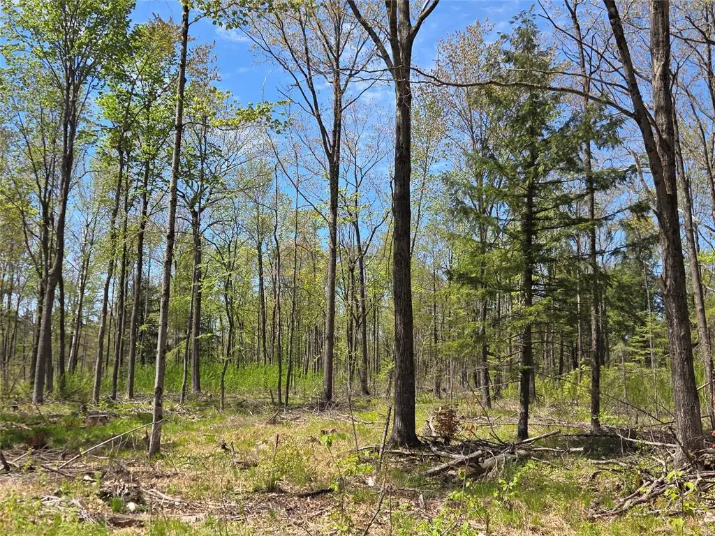 On Circle Drive, Brantwood, WI 54513 - #1