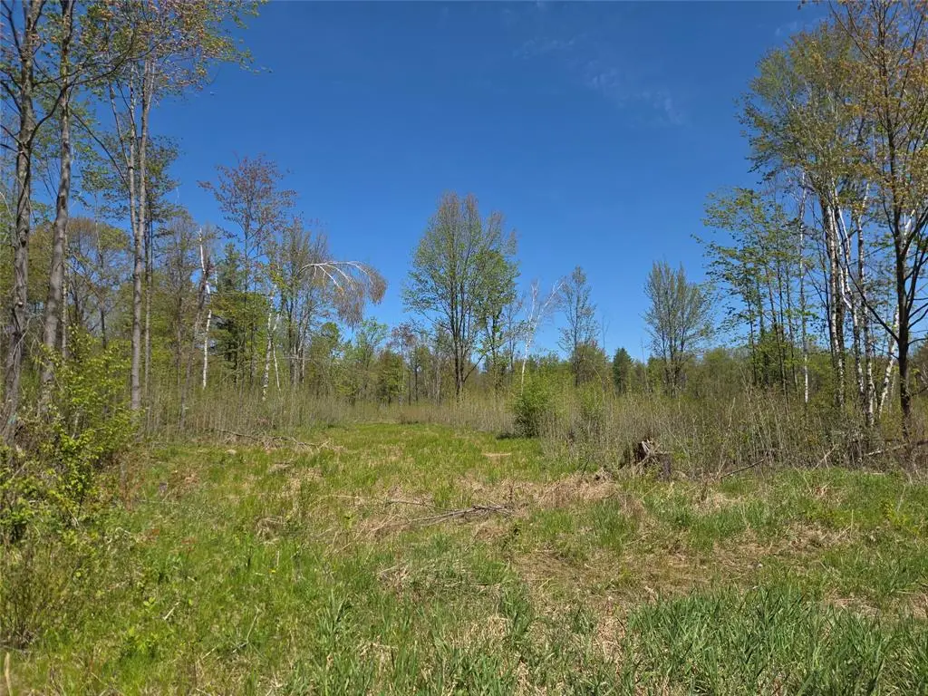 On E Central Avenue, Brantwood, WI 54513 - #1