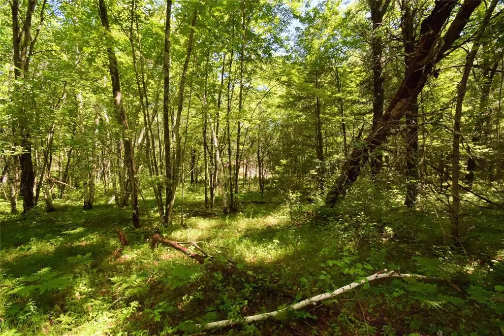 25227 Kruger Road, Webster, WI 54893 - #1