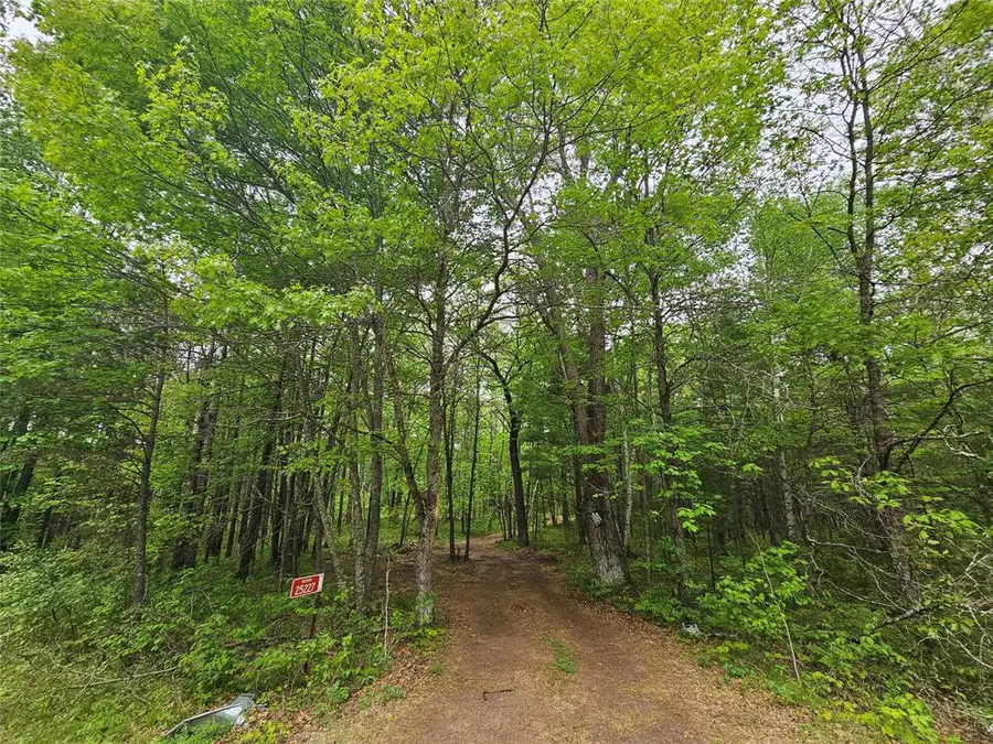 25227 Kruger Road, Webster, WI 54893 - #3