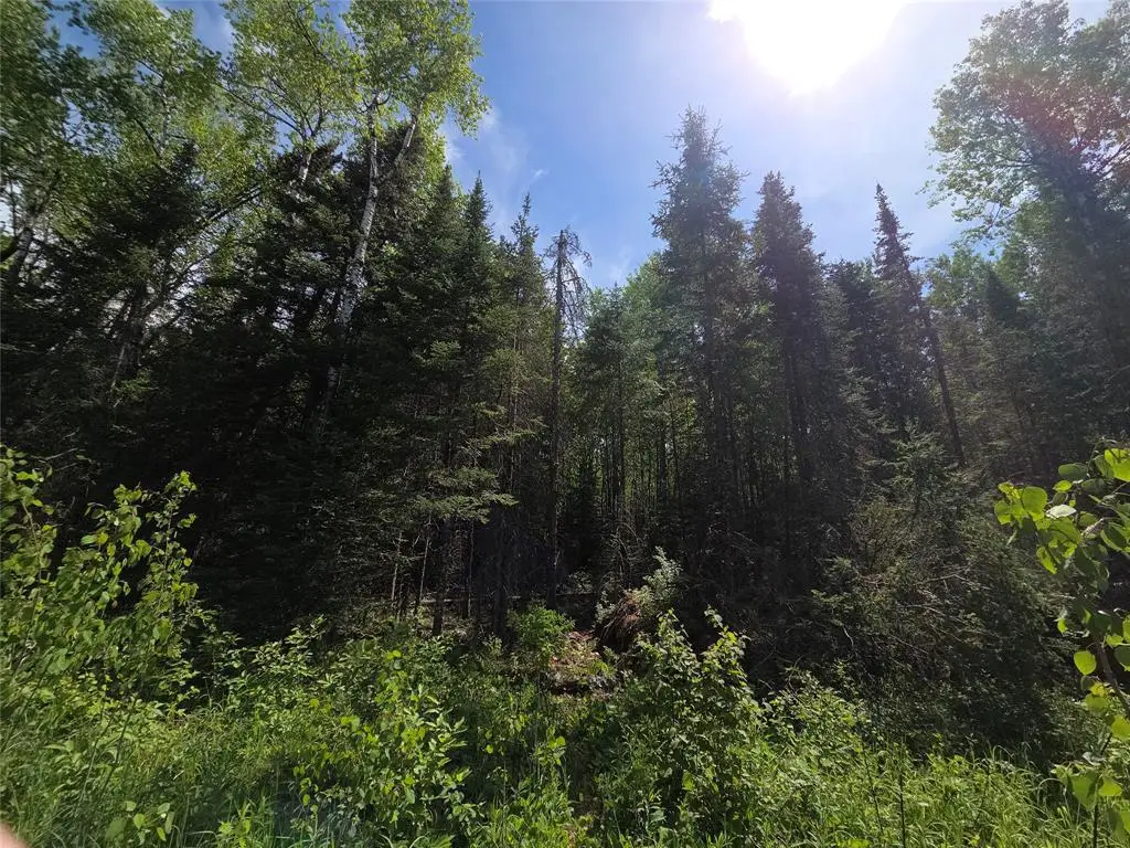 Lot 3 E Solberg Lake Road, Phillips, WI 54555 - #1