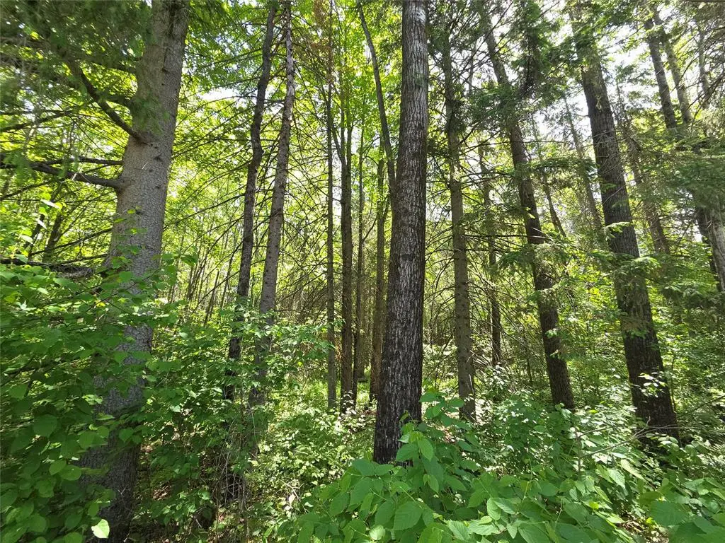 Lot 6 E Solberg Lake Road, Phillips, WI 54555 - #1
