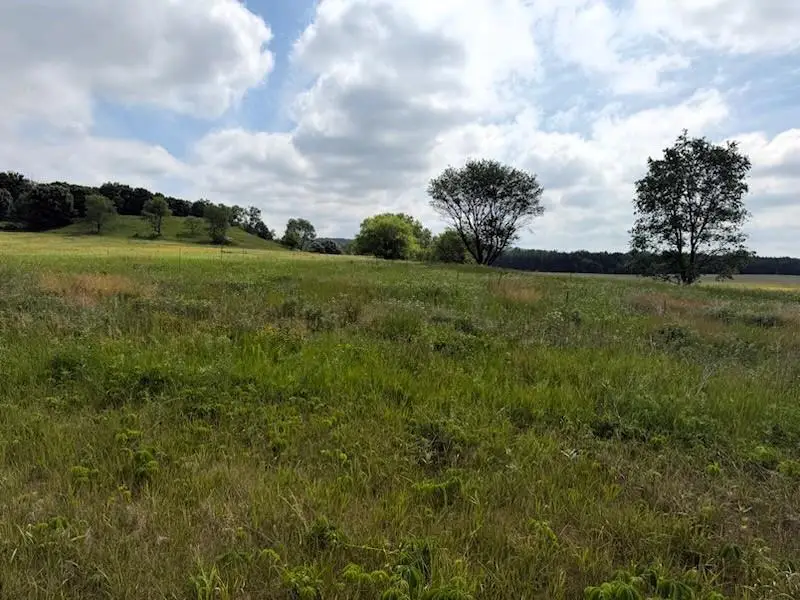 Lot 2 County Rd F, Boyceville, WI 54725 - #1