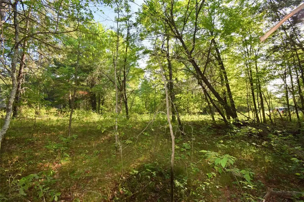 Lot 31 Setting Sun Trail Way, Danbury, WI 54830 - #1