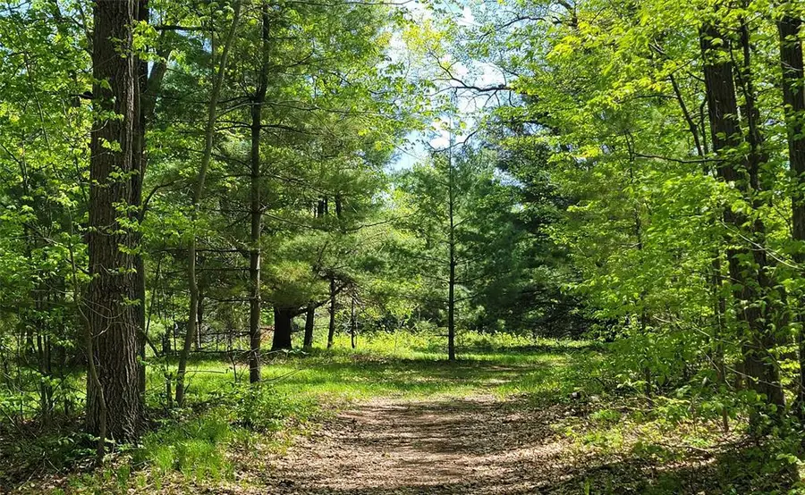 5154 County Road X, Webster, WI 54893 - #3