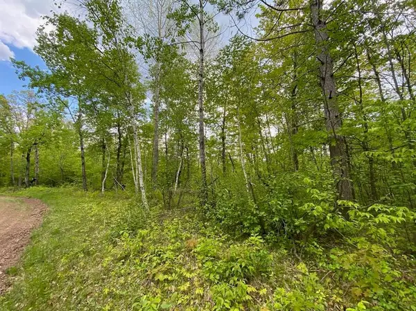 Lot 9 Hustvet Drive, Chicog, WI 54888