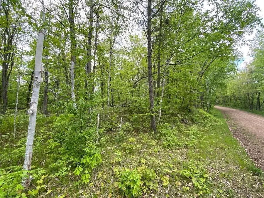 Lot 9 Hustvet Drive, Chicog, WI 54888 - #2