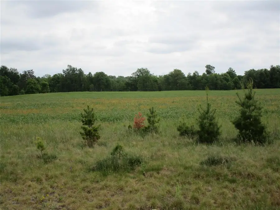 xxx River Pines Dr, Ladysmith, WI 54848 - #2