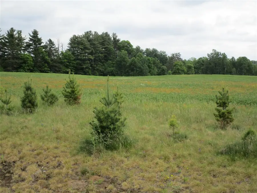 xxx River Pines Dr, Ladysmith, WI 54848 - #3