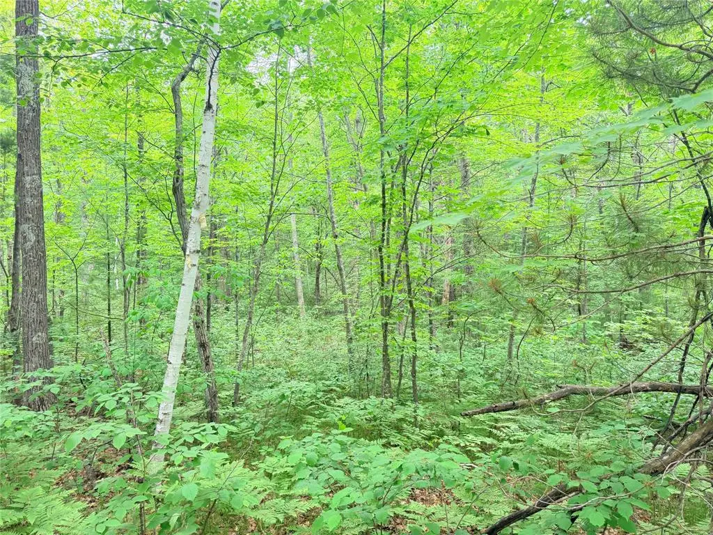 0 Schultz Lane, Stone Lake, WI 54876 - #1