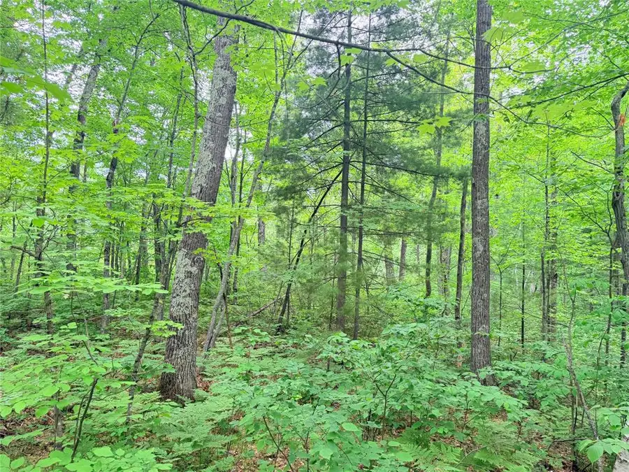 0 Schultz Lane, Stone Lake, WI 54876 - #2