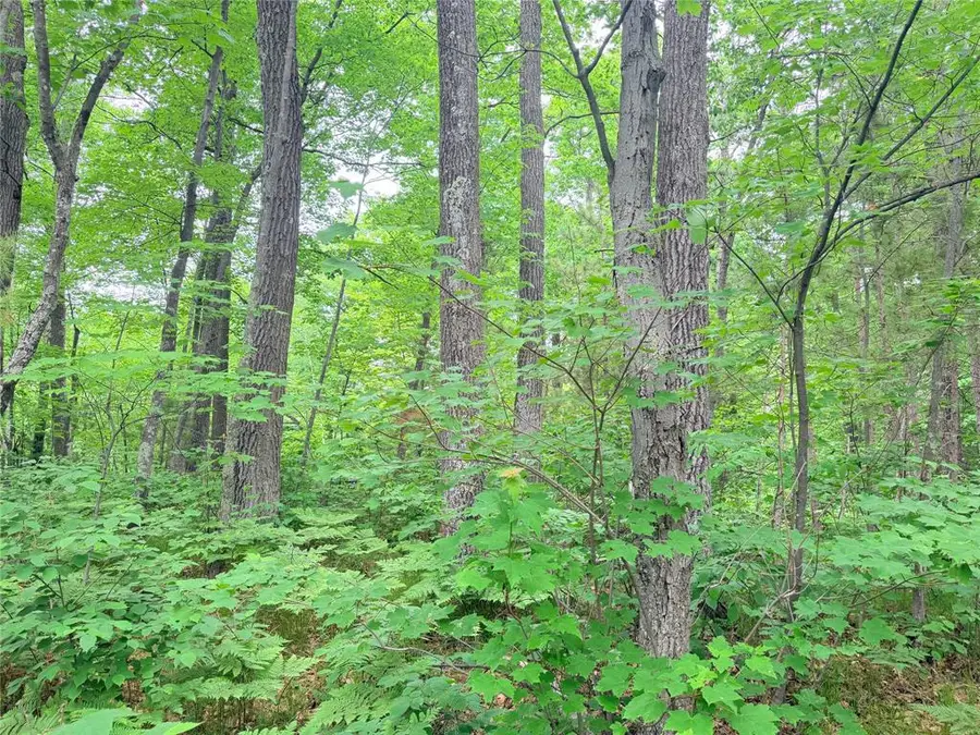 0 Schultz Lane, Stone Lake, WI 54876 - #3