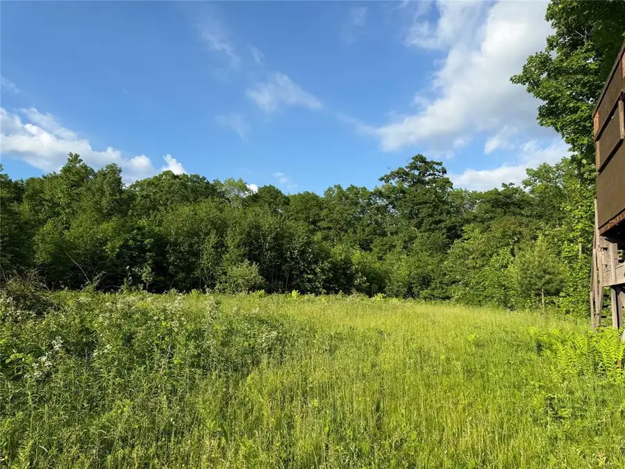 XXX Shady Lane, Trego, WI 54888 - #3