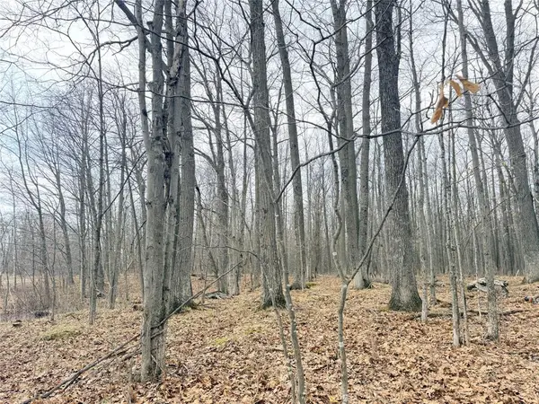 Lot 4 Hwy X, Glen Flora, WI 54526