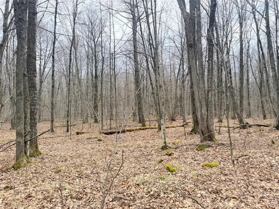 Lot 4 Hwy X, Glen Flora, WI 54526 - #3