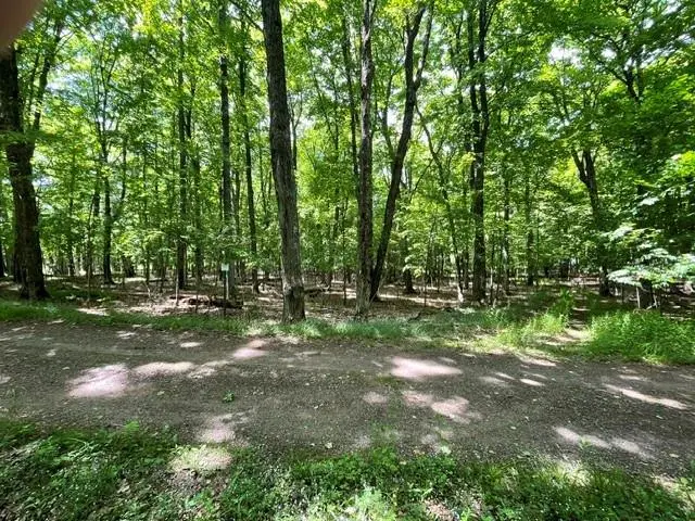 7311N Universal Drive, Winter, WI 54896 - #2