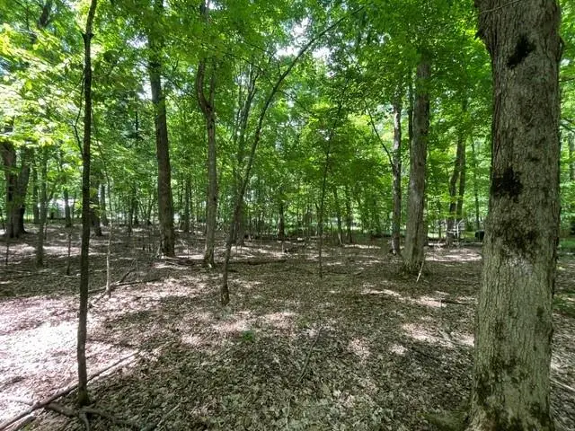 7311N Universal Drive, Winter, WI 54896 - #3