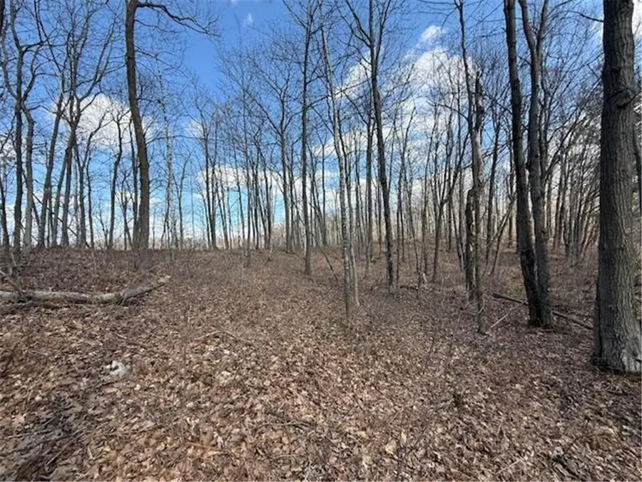 TBD Old Highway 63, Shell Lake, WI 54871 - #2