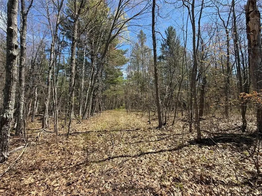 N10439 Tranus Lake Road, Springbrook, WI 54875 - #2