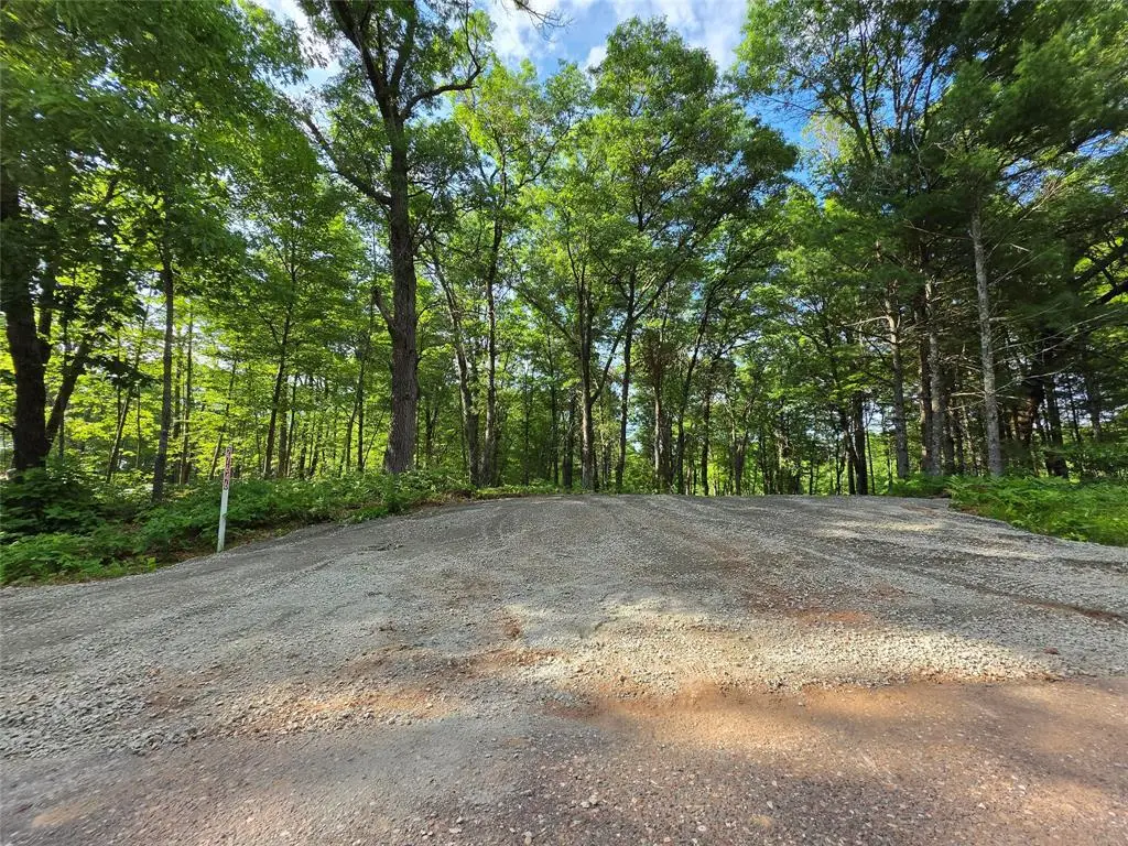 27646 295TH AVE LOT 14 Avenue, Holcombe, WI 54745 - #1