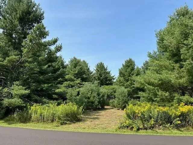 129XX W Pine Cove Lane, Hayward, WI 54843 - #2