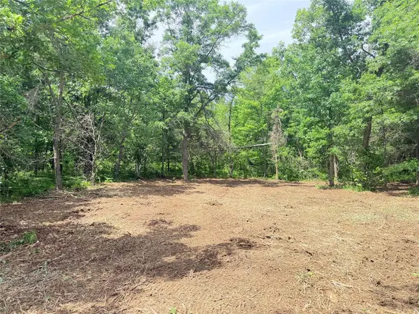 0 Peterson Road, Bruce, WI 54819