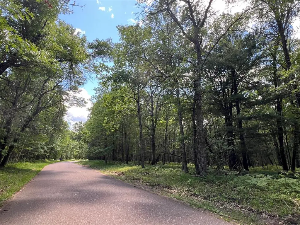 LOT 14 Loon Lake Road, Danbury, WI 54830 - #1