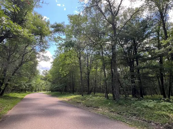 LOT 14 Loon Lake Road, Danbury, WI 54830