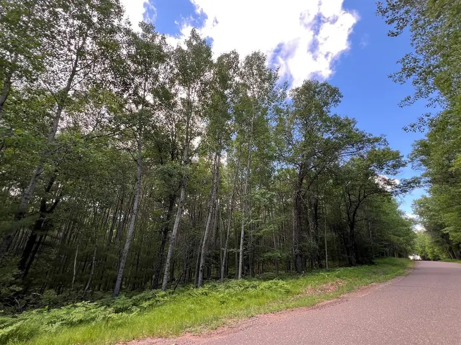 LOT 14 Loon Lake Road, Danbury, WI 54830 - #2