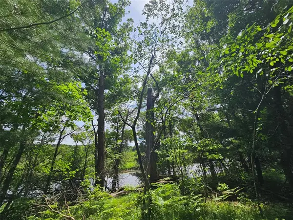Lot 1 Gaslyn Road, Webster, WI 54893