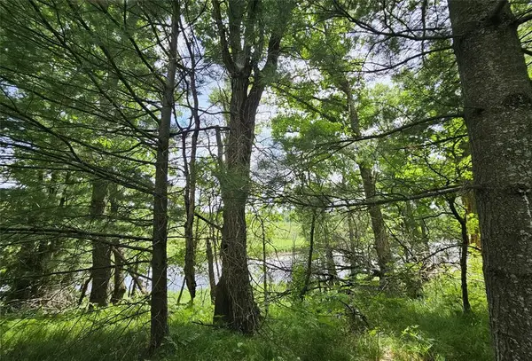 Lot 2 Gaslyn Road, Webster, WI 54893
