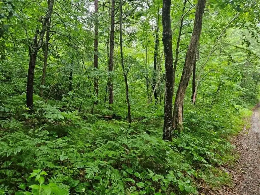 Lot 3 Hilly Ln, Spooner, WI 54801 - #3