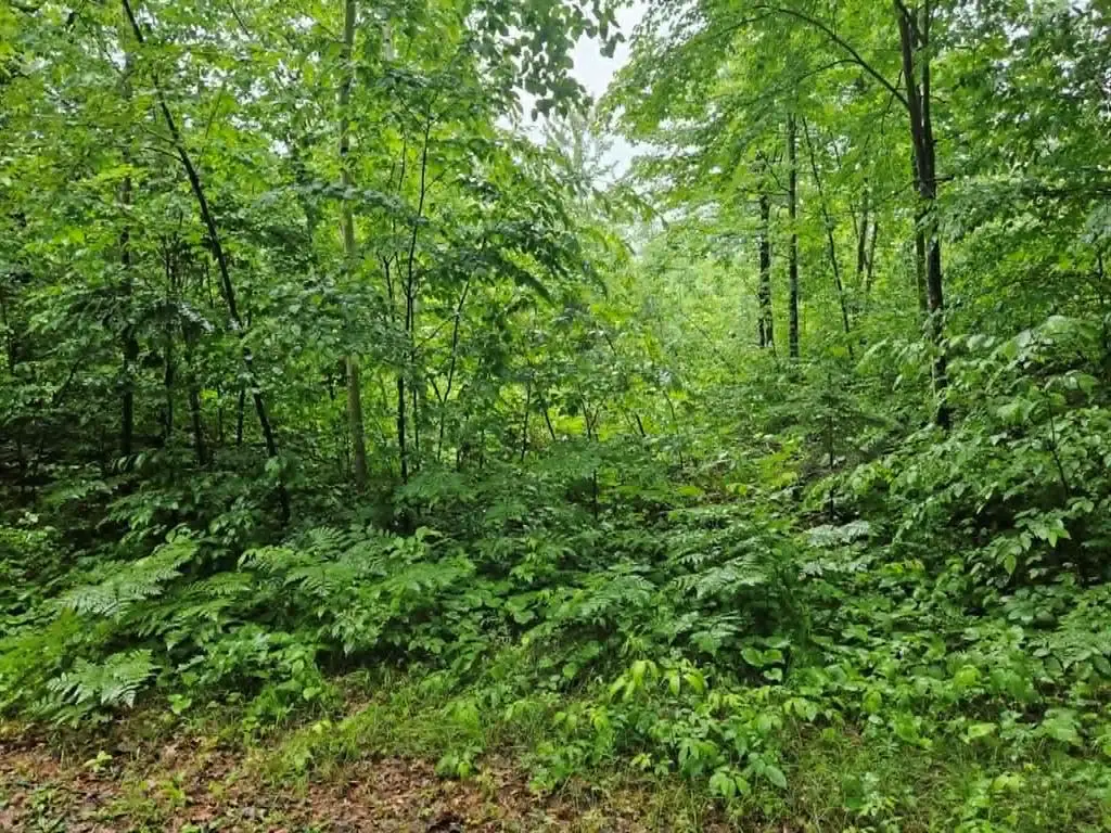 Lot 1-4 Hilly Ln, Spooner, WI 54801 - #1