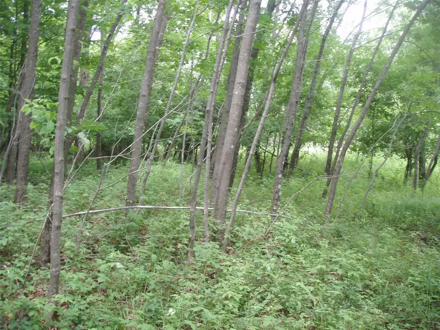 Lot 12 4th Addition, Margaret Lane, Park Falls, WI 54552 - #3