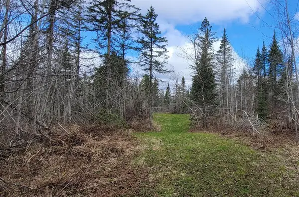 11553N County Hwy A, Hayward, WI 54843