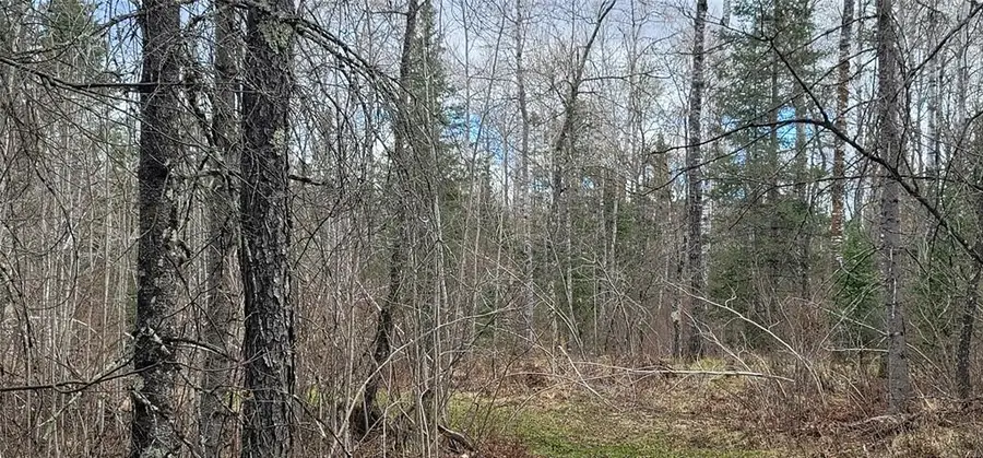 11553N County Hwy A, Hayward, WI 54843 - #2